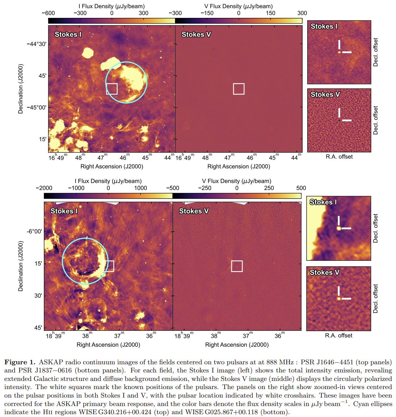 image-20250927002059267