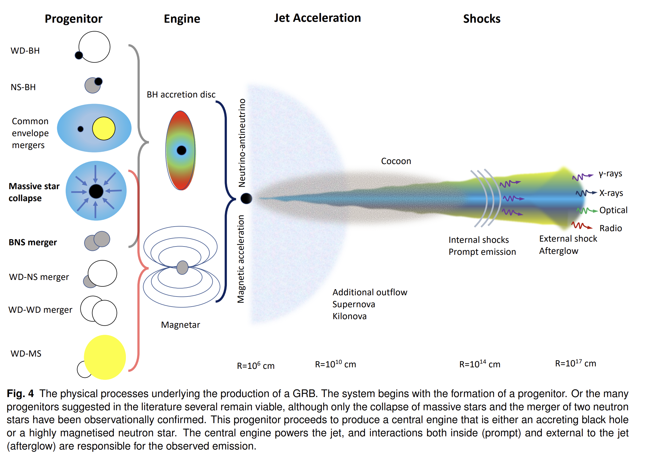 image-20251008165212592