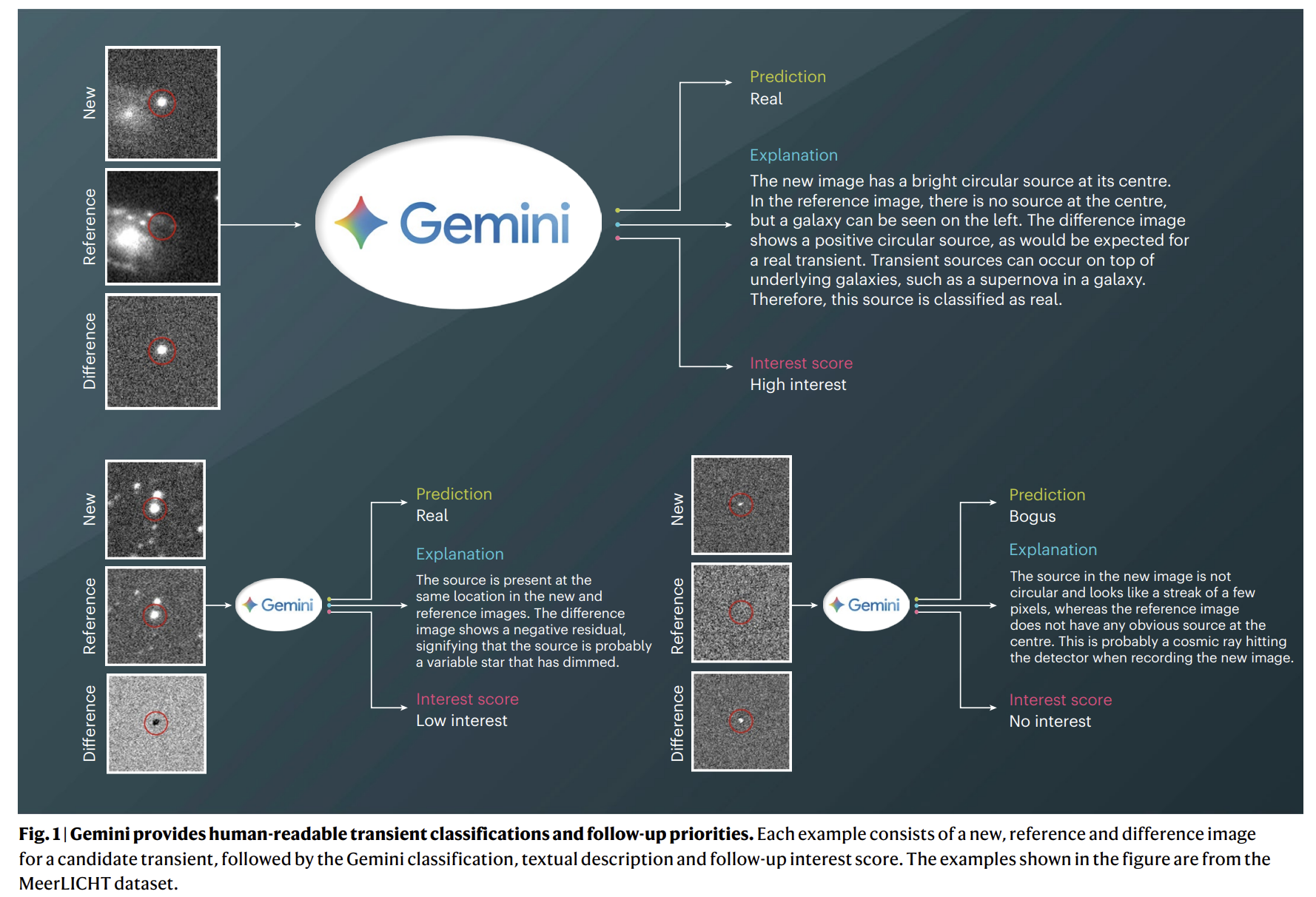 image-20251010102435283