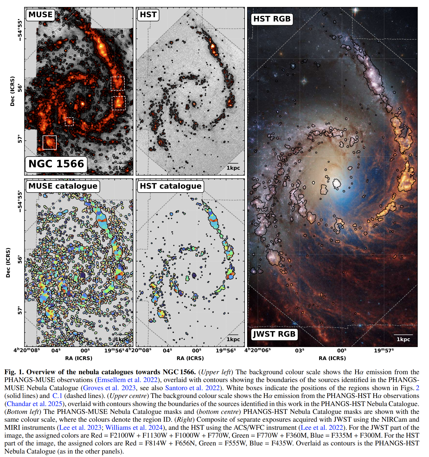 image-20251015150933922