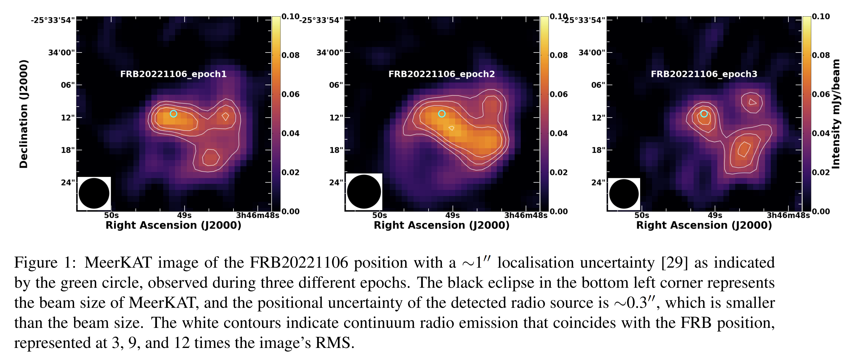 image-20251203135441111