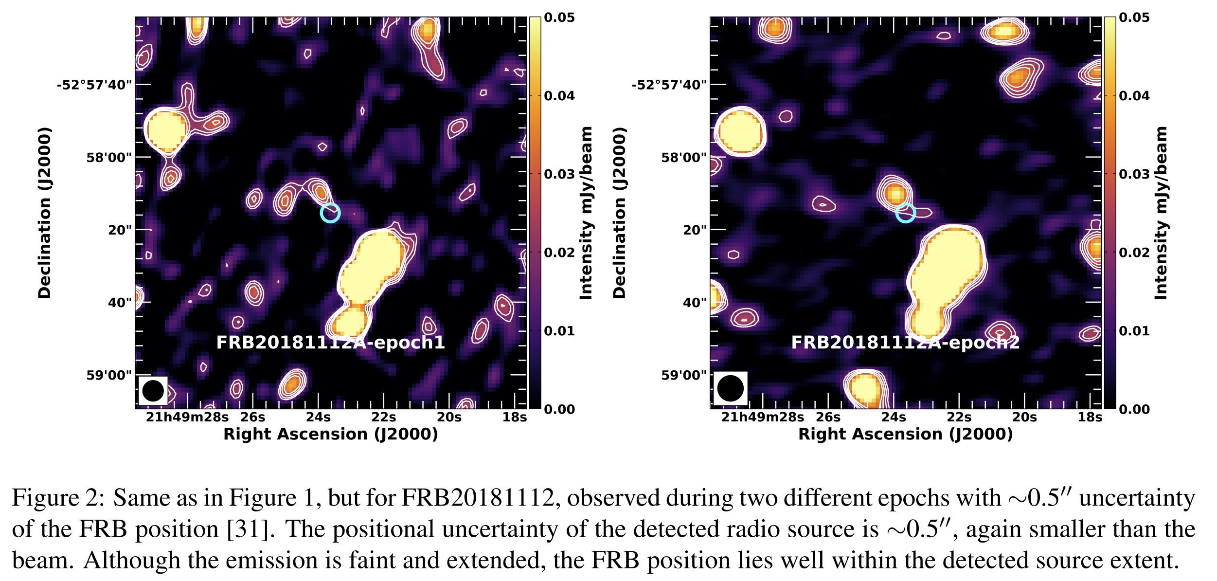 image-20251203135503370