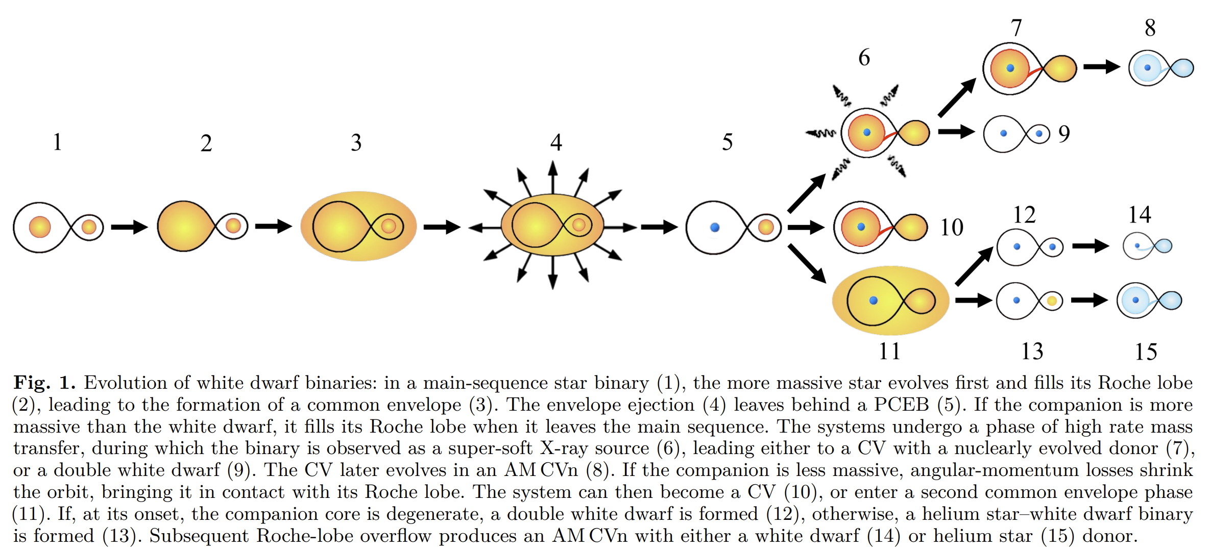 image-20251218155607687