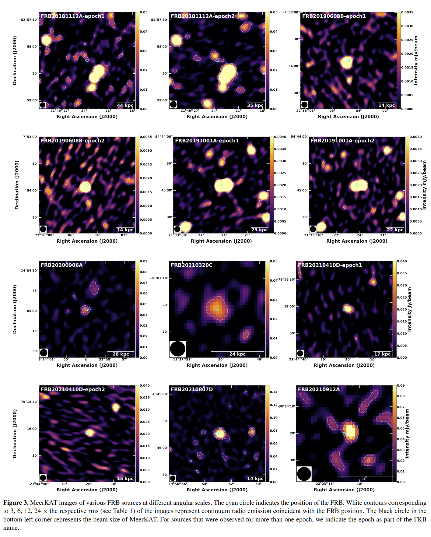 image-20260210131121947