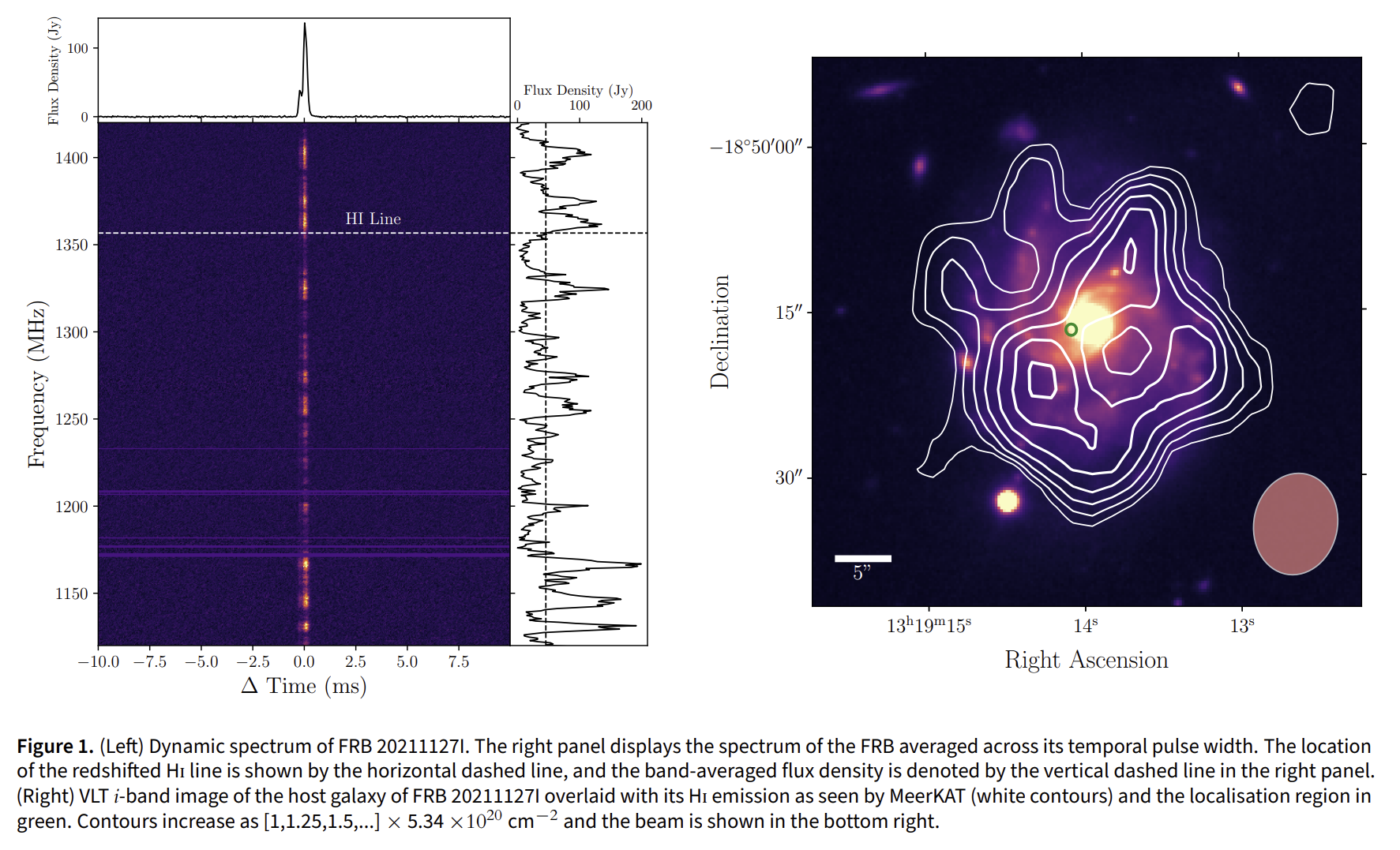 image-20260213004748035