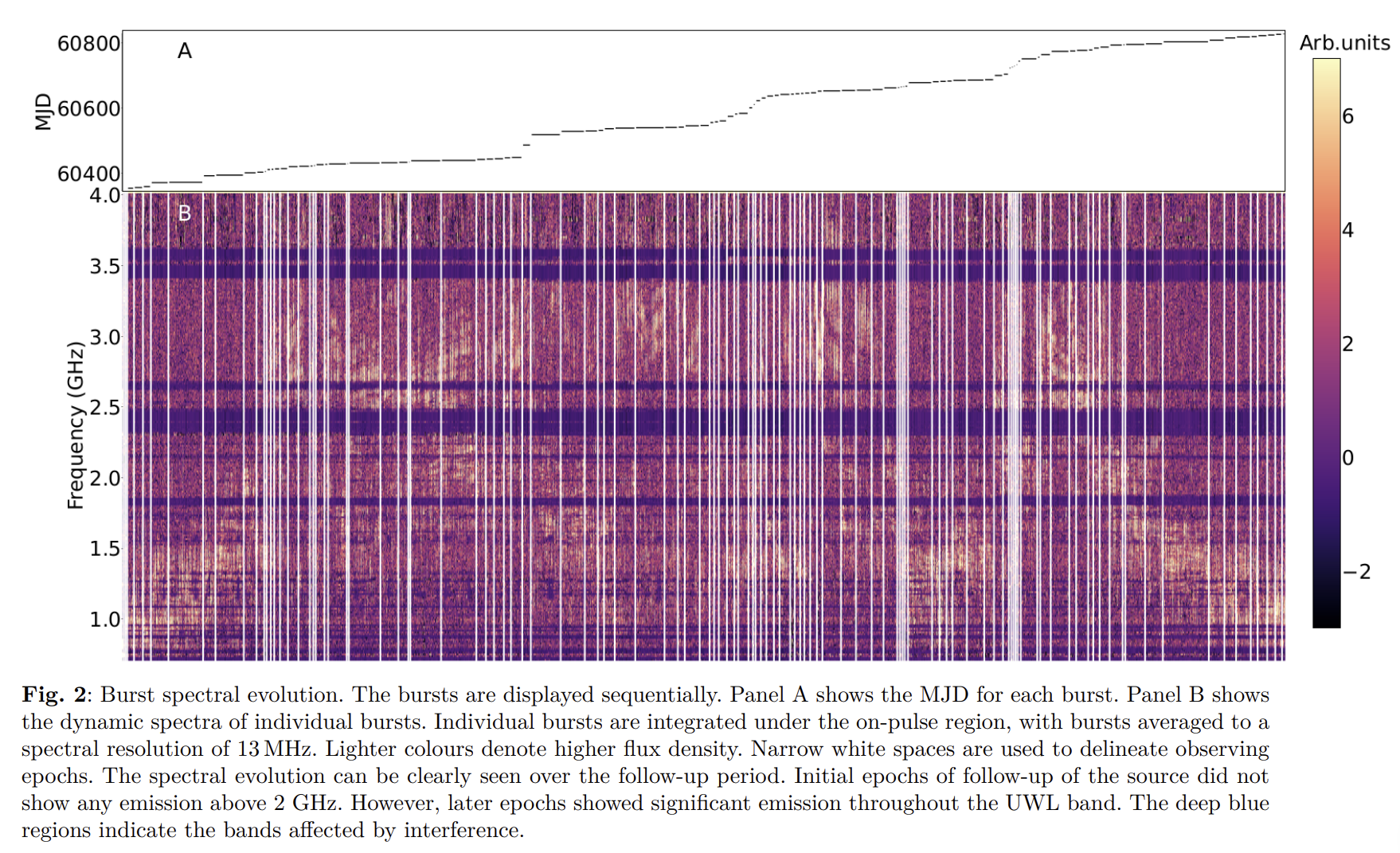 image-20260221001904971