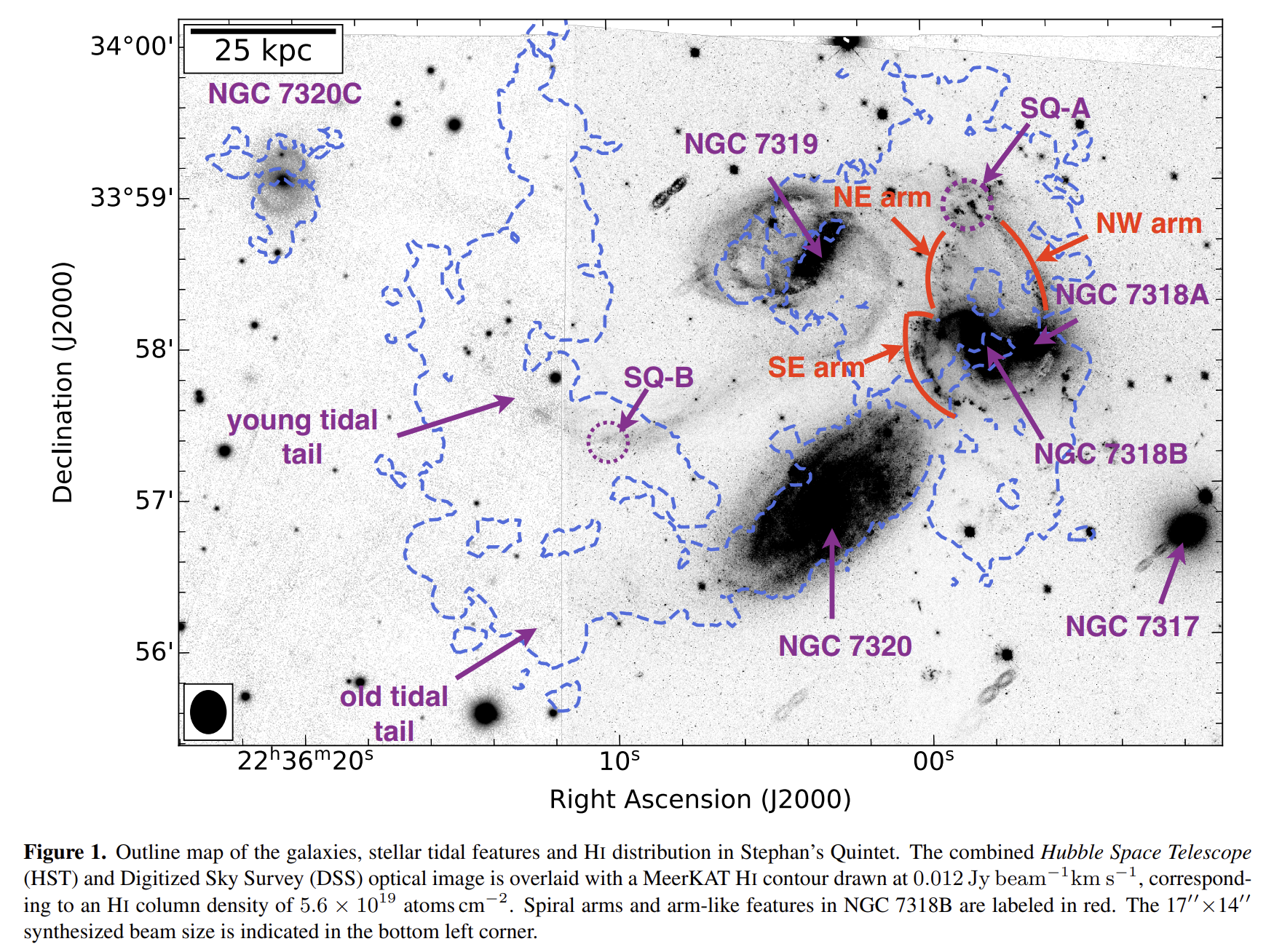 image-20260331150150177