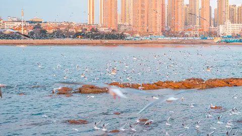 海滨城市的建筑群