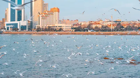 海滨城市的建筑群