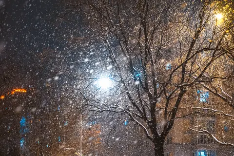 夜空中的星星
