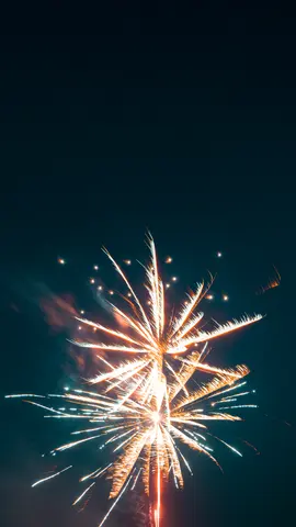 夜空中绽放的烟花
