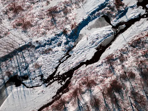 雪地树林景观