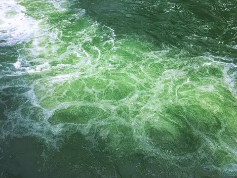 湍急的水流