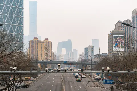 城市景观，高楼大厦与盛开的樱花树