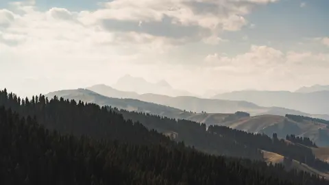 森林与山脉