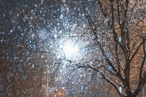 光线穿过纷飞雪花与树枝